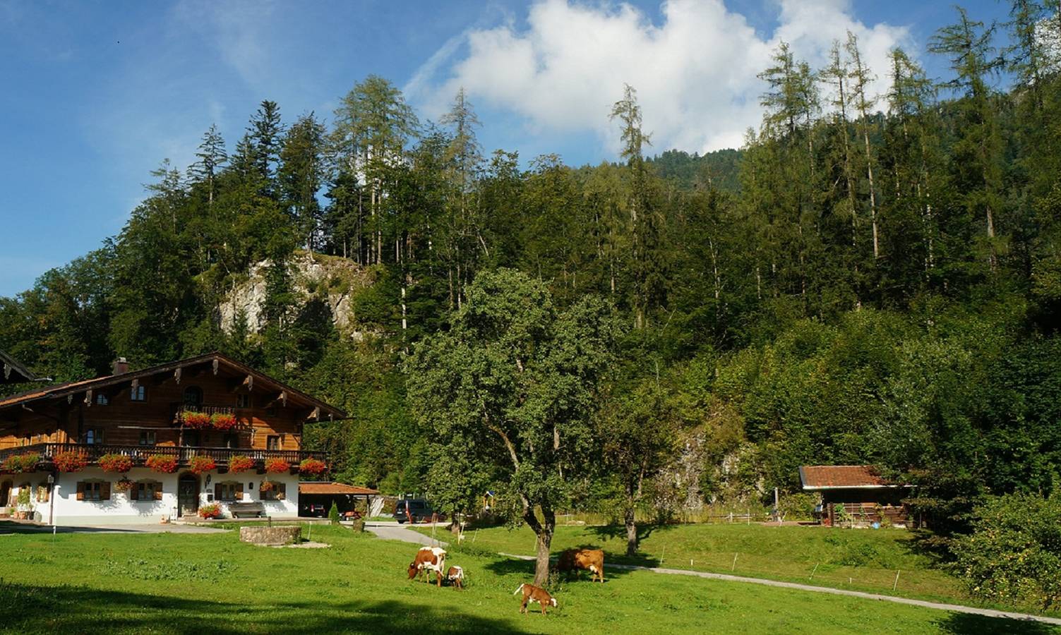 Sulzenhof inkl. Chiemgaukarte - Ferienwohnung I 40 qm, Balkon, Küche, 1 Schlafzimmer, Wohnzimmer, max 4 Personen in Ruhpolding, Bayerische Alpen