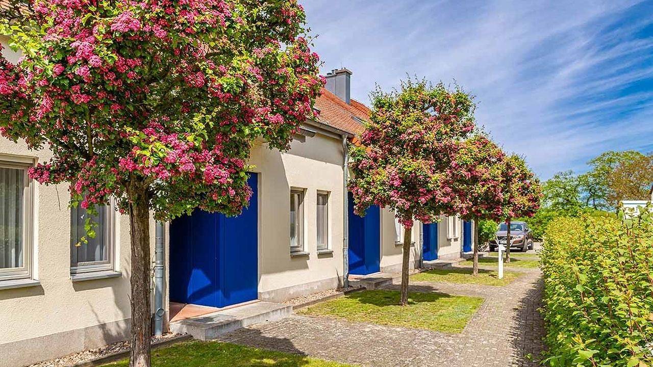 Entire holiday apartment, Ferienwohnung für 4 Personen (56 m²) in Dewichow auf Usedom in Dewichow, Mellenthin