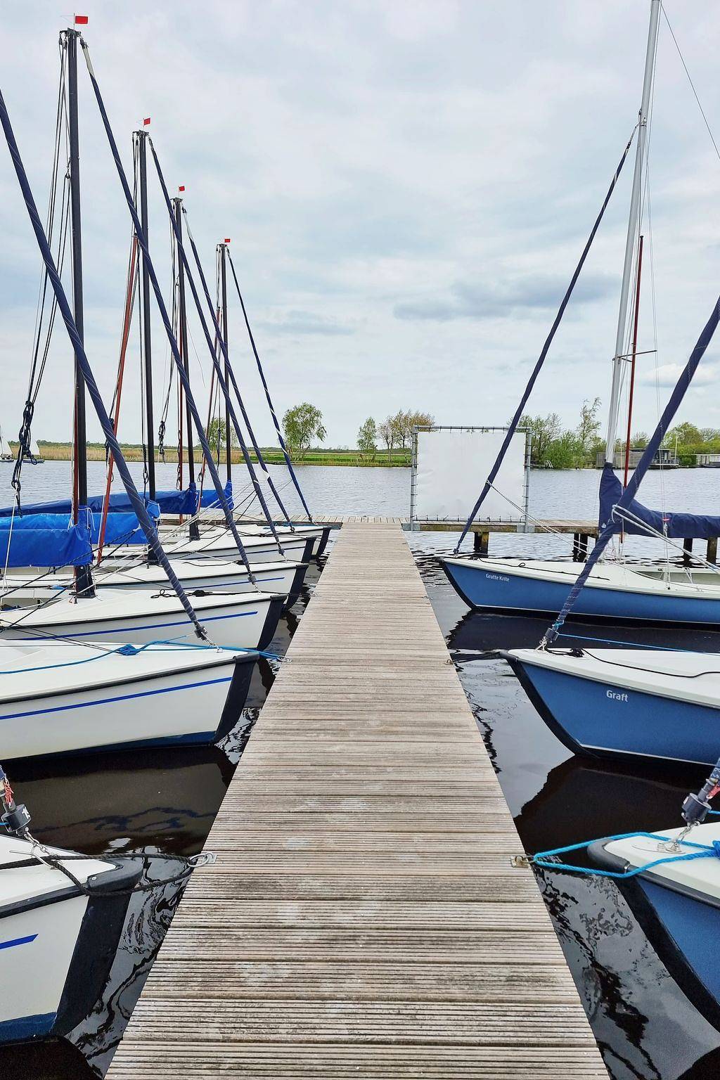 Natuurlijk de Veenhoop in Nationalpark De Alde Feanen