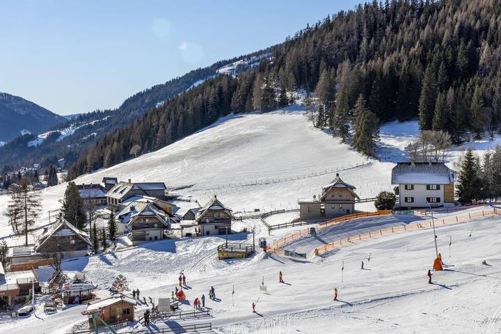 Almhaus Perfler in Sankt Oswald (Bad Kleinkirchheim), Bad Kleinkirchheim