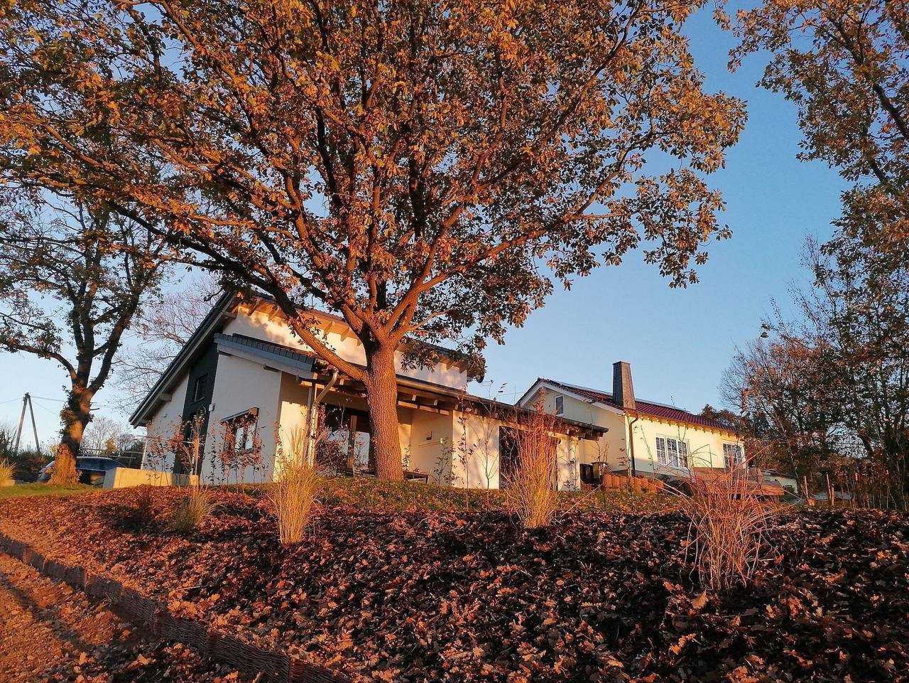 Ganze Ferienwohnung, Ferienhaus Knorreichenstieg - Ferienhaus Knorreichenstieg in Basdorf, Vöhl