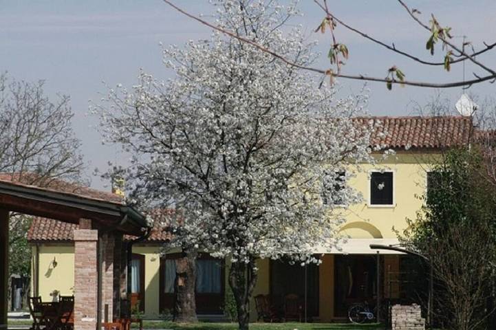Casa vacanza per 4 persone, con terrazza e giardino - 1