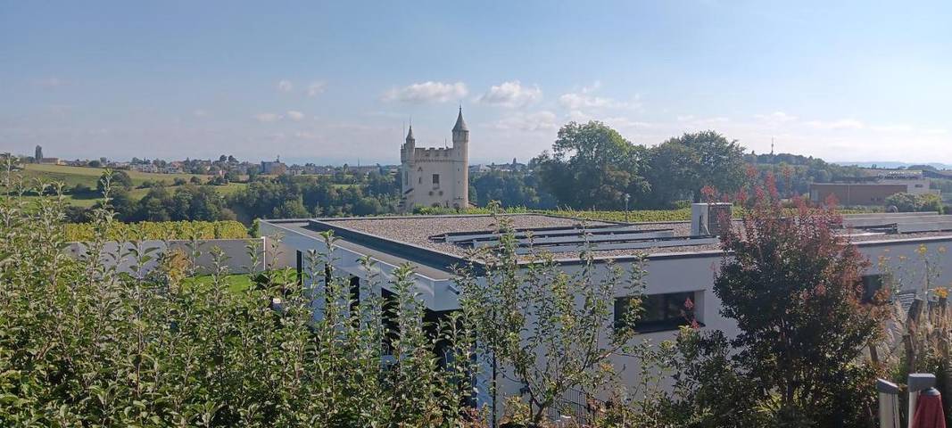 Location de vacances pour 6 personnes, avec vue sur le lac ainsi que vue et jardin à Boudry - 3