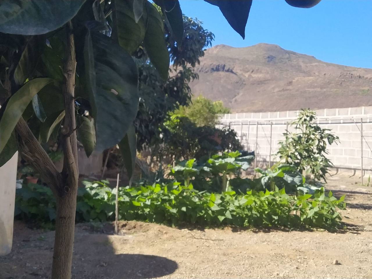 Edara Home - Haus mit privatem Garten in Marmolejos, Gáldar