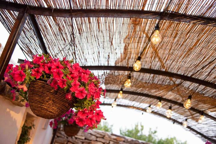 Chambre d’hôte pour 3 personnes, avec terrasse et vue, animaux acceptés à Alberobello - 2