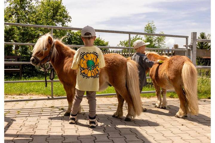 Ferienwohnung für 5 Personen, mit Pool und Ausblick sowie Garten in Weiler-Simmerberg - 4