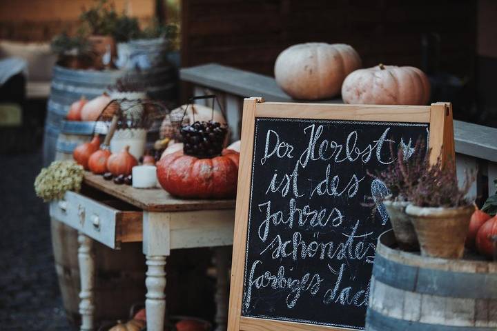 Pension für 2 Personen, mit Garten, kinderfreundlich in Rheinhessen - 2