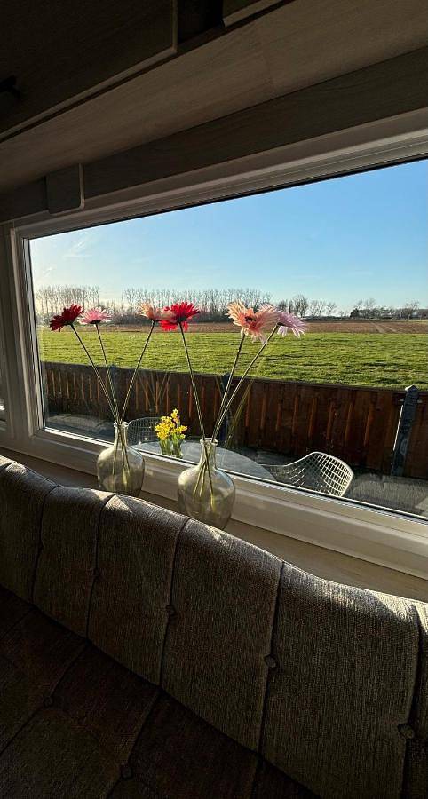Ferienwohnung für 3 Personen, mit Terrasse und Garten sowie Ausblick in Biggekerke - 2