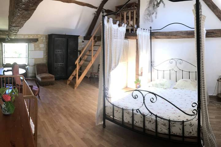 Location de vacances pour 12 personnes, avec jardin à Cussay - 3