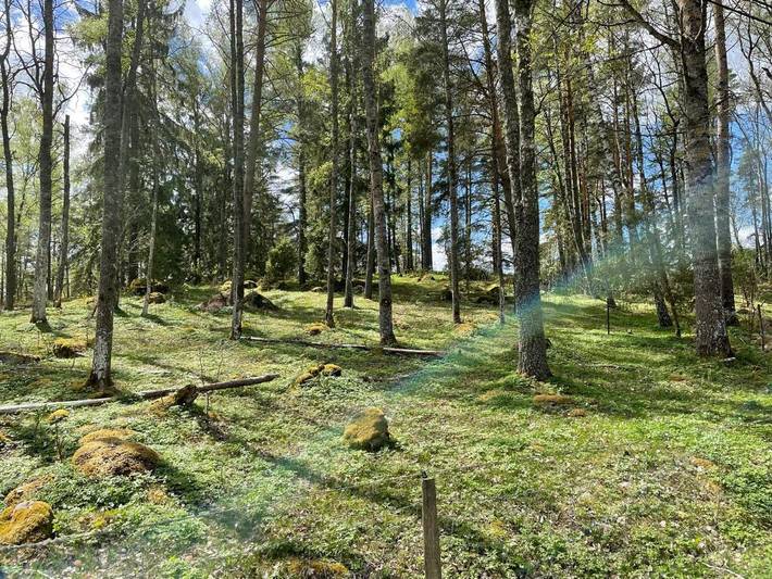 Ferienhaus für 4 Personen, mit Ausblick und Garten in Tibro - 4