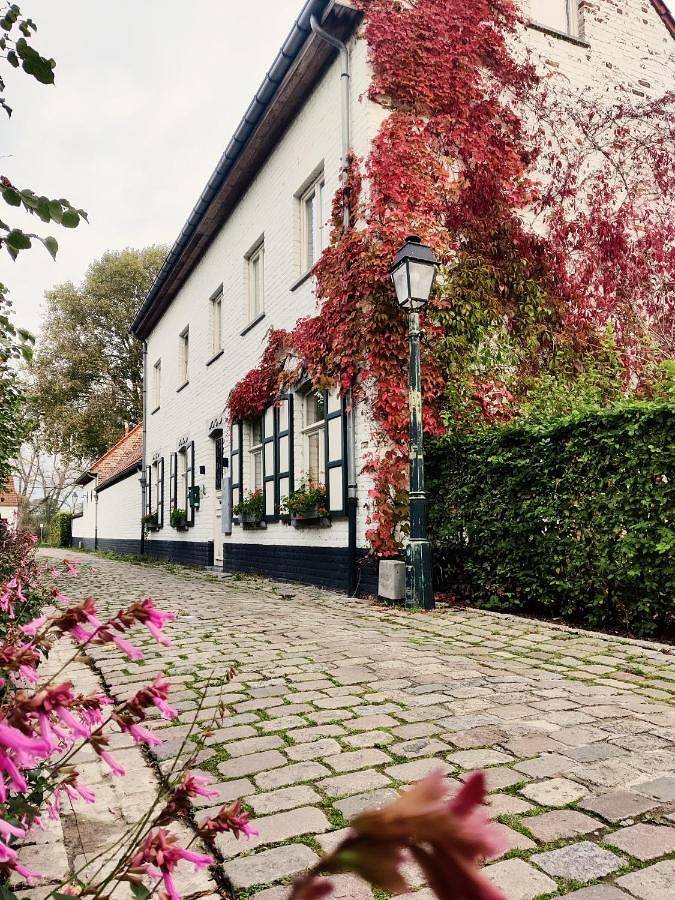 B&B Lisdodde in Bruges, Côte belge