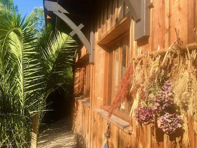 Chambre d’hôte pour 4 personnes, avec Terrasse