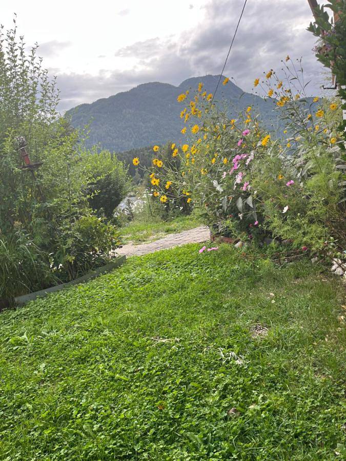 Ferienwohnung für 2 Personen, mit Ausblick und Garten in Bad Ischl - 2