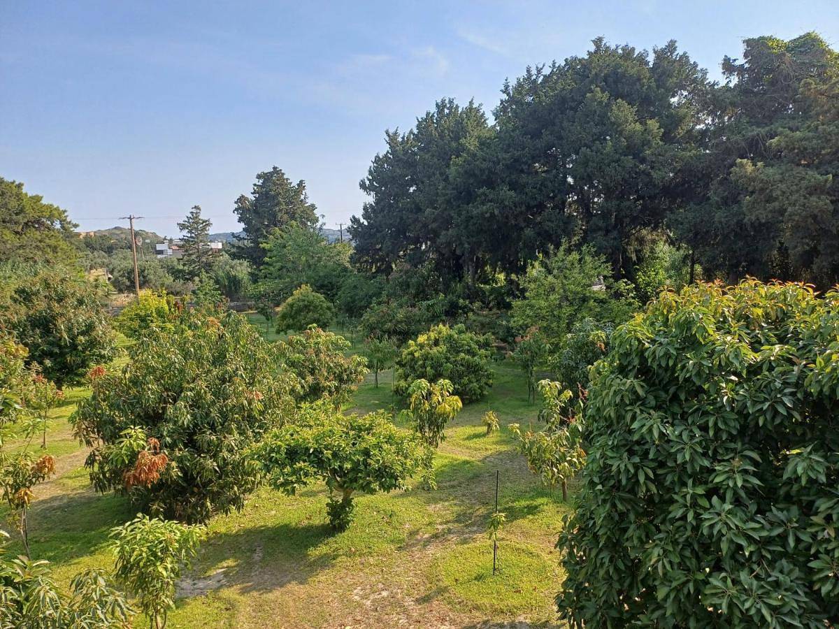 Geheel appartement, Tropical Garden Faliraki Rhodes in Faliraki, Rhodos