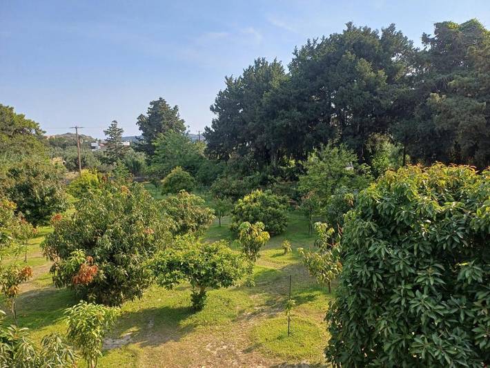 Ferienwohnung für 5 Personen, mit Balkon und Terrasse sowie Garten und Ausblick in Faliraki - 4