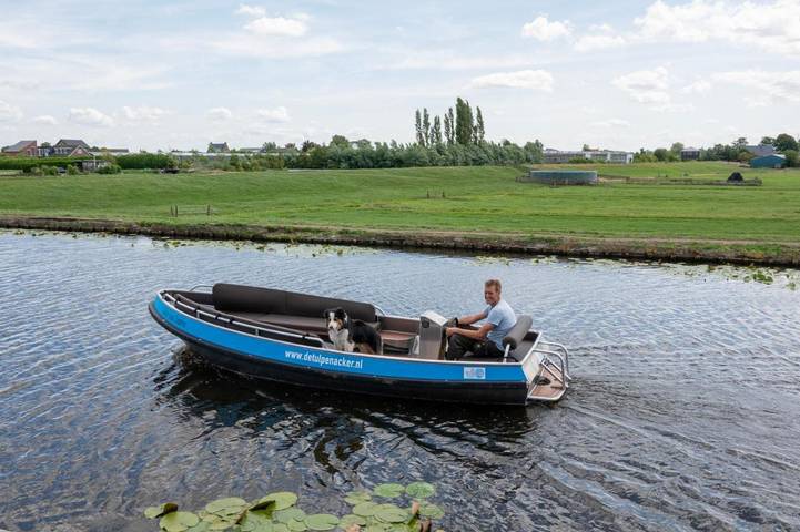 Location de vacances pour 10 personnes, avec piscine et vue ainsi que jardin et vue sur le lac dans Roelofarendsveen - 4