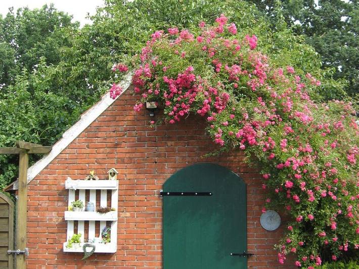 Ferienwohnung für 2 Personen, mit Garten und Terrasse in Ostfriesland - 2