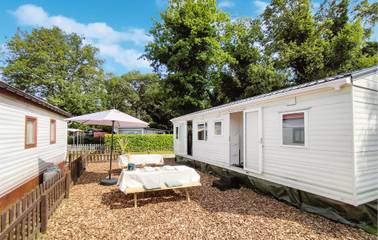 Glamping voor 4 Personen in Merksplas, Vlaanderen, Afbeelding 1