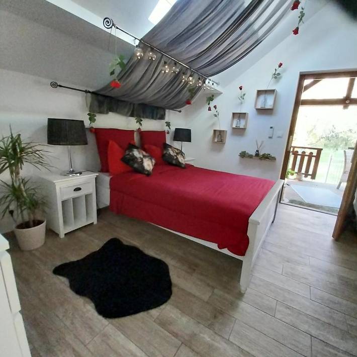 Chambre d’hôte pour 3 personnes, avec jardin et vue, animaux acceptés en Alsace - 2