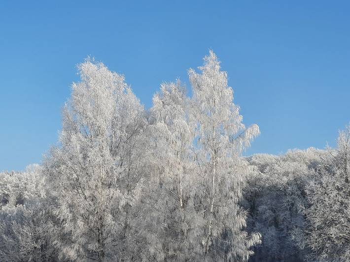 Ferienwohnung für 5 Personen, mit Balkon und Garten, kinderfreundlich in Augsburg und Umgebung - 2