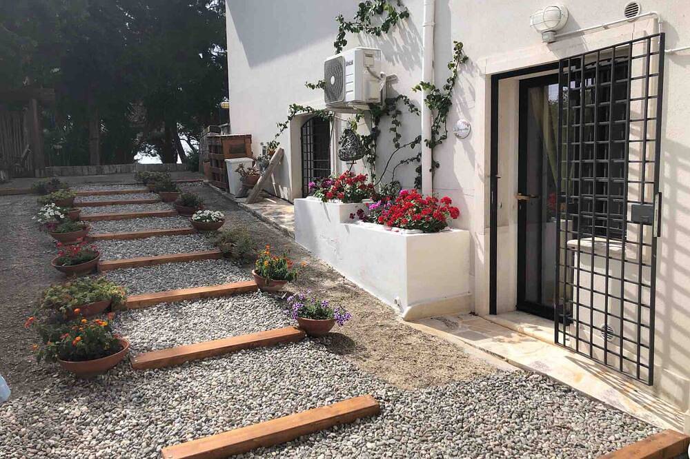 The Bougainvillea in Ceglie Messapica, Salento