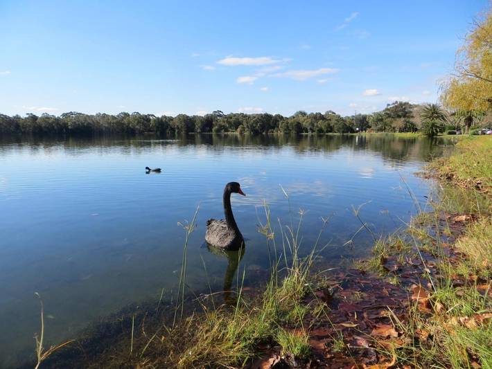 Chambre d’hôte pour 2 personnes, avec jardin et vue à Perth - 3