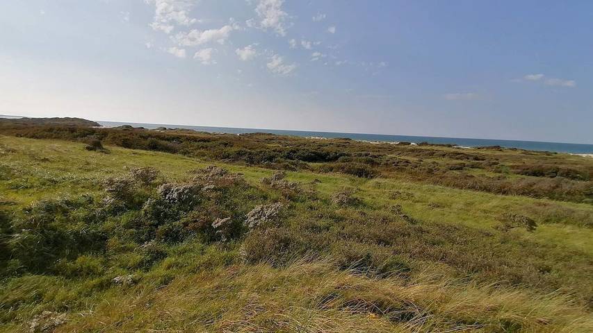 Ferienhaus für 11 Personen, mit Whirlpool und Terrasse sowie Sauna, mit Haustier in Aalbæk - 3