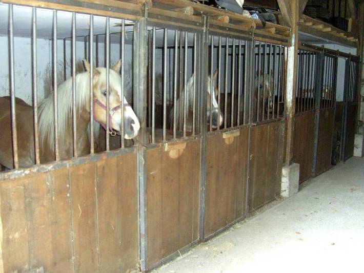 Ferienhaus für 4 Personen, mit Garten, kinderfreundlich in der Oberpfalz - 4