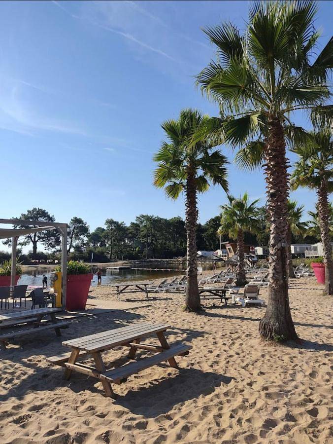 Camping pour 5 personnes, animaux acceptés au Cap Ferret - 3