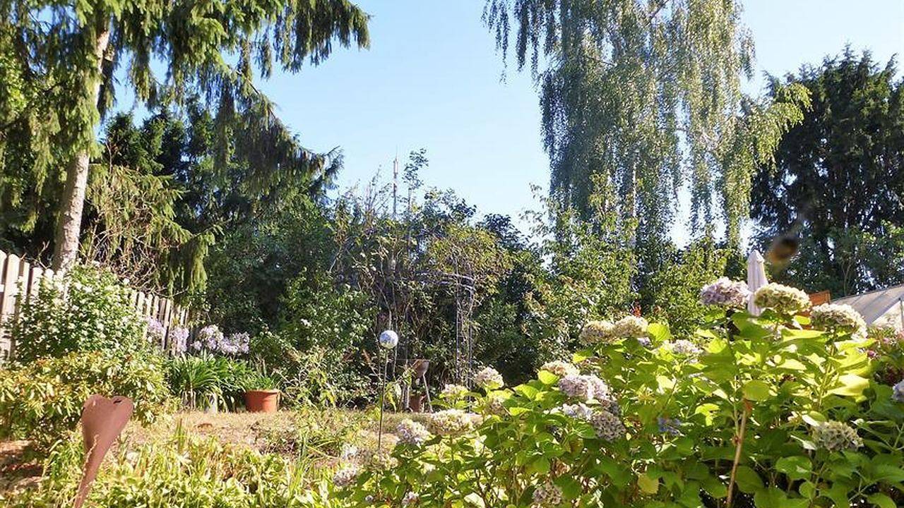 Ganze Ferienwohnung, Ferienwohnung für 3 Personen (52 m²) in Geesthacht in Geesthacht, Kreis Herzogtum Lauenburg