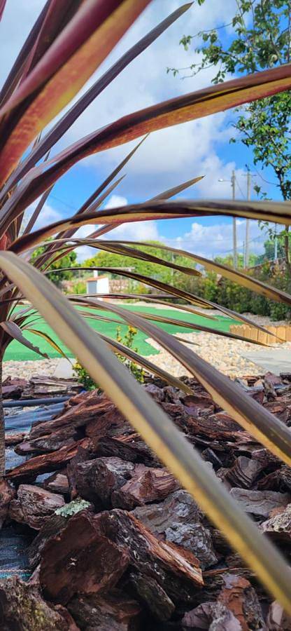 Location de vacances pour 4 personnes, avec jardin ainsi que vue et piscine dans Coimbrão - 3