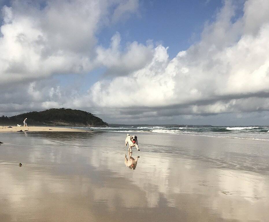 Di’s Hill - Ihr ruhiger Aufenthalt fern. in New South Wales