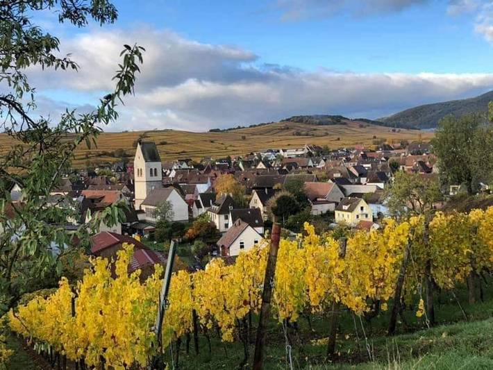 Gîte pour 4 personnes, avec vue à Mittelwihr - 2