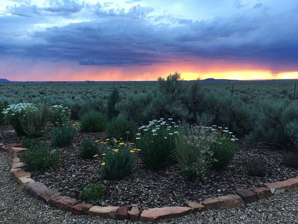 Ganze Wohnung, Super Mountain Vews! Stilvolle, komfortable Suite. Einfacher Zugang zu Stadt und Pisten in Taos County