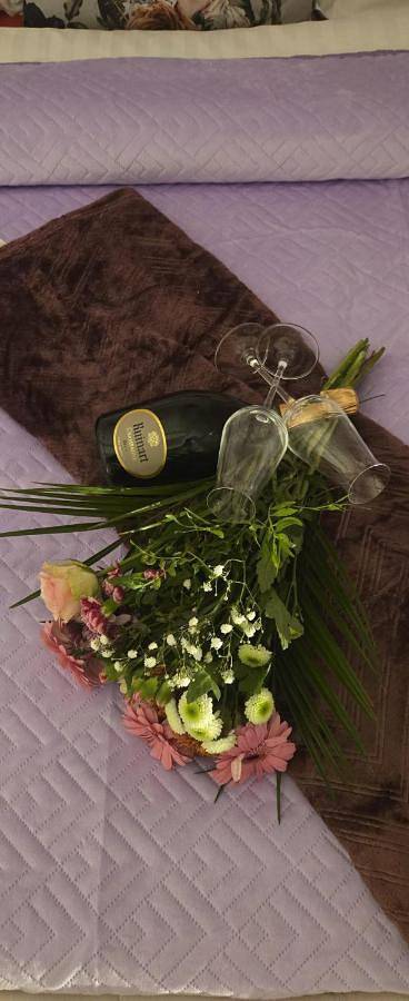 Appartement entier, Loveroom in Ferrières-en-Gâtinais, Région de Montargis