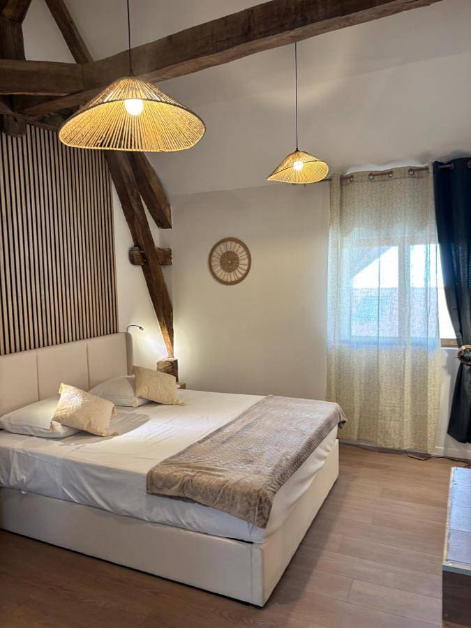 Maison d’hôte pour 2 personnes, avec jardin et vue dans Belley - 2