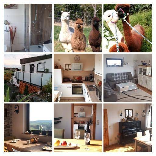 Entire holiday apartment, Ferienwohnung Alpaka-Blick in Schneppenbach, Nahetal