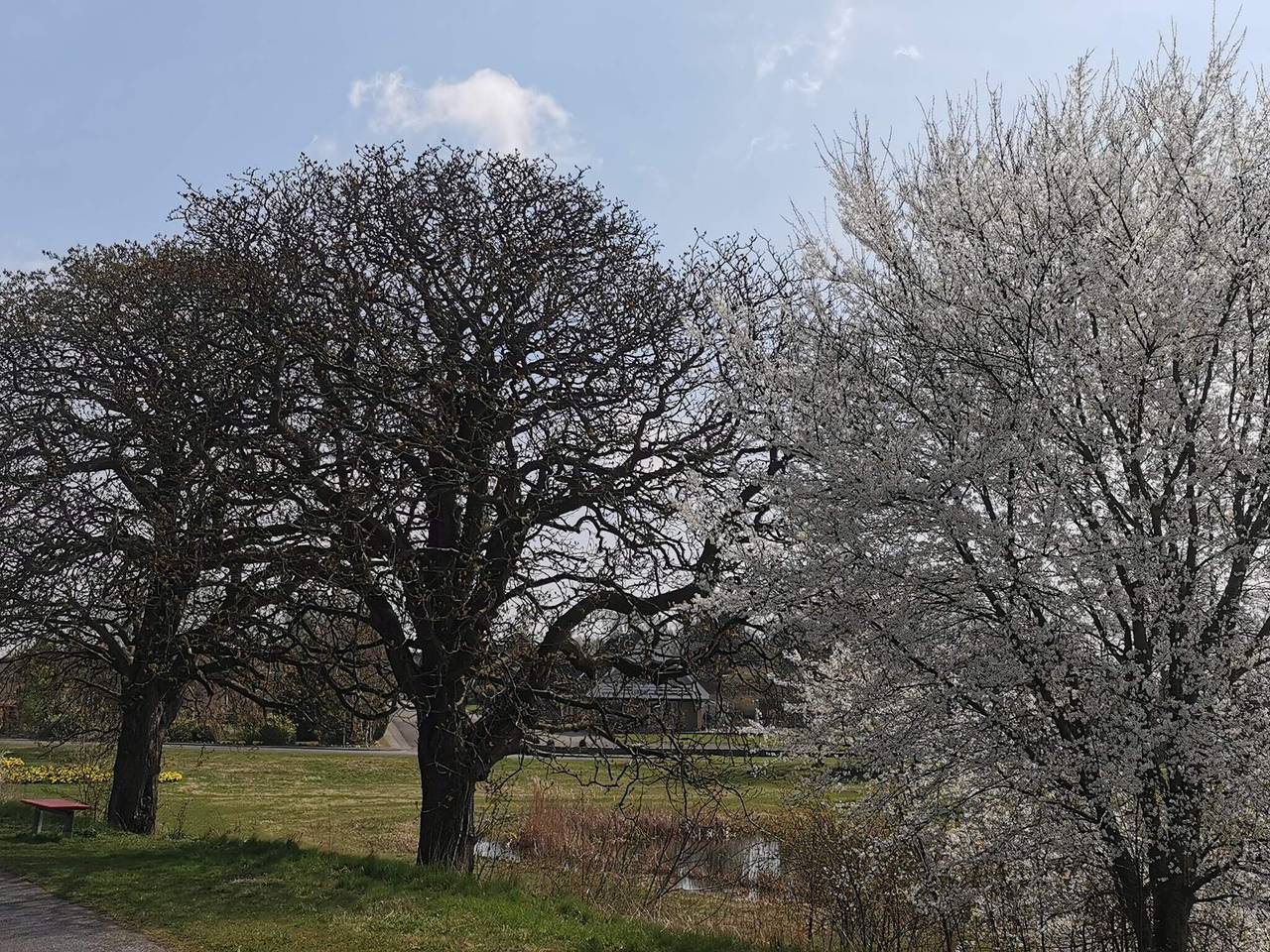 5 Personen Ferienhaus in Holeby in Holeby, Schwedische Ostsee