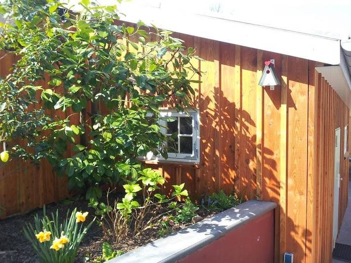 Ferienwohnung für 3 Personen, mit Terrasse in Flensburg - 3