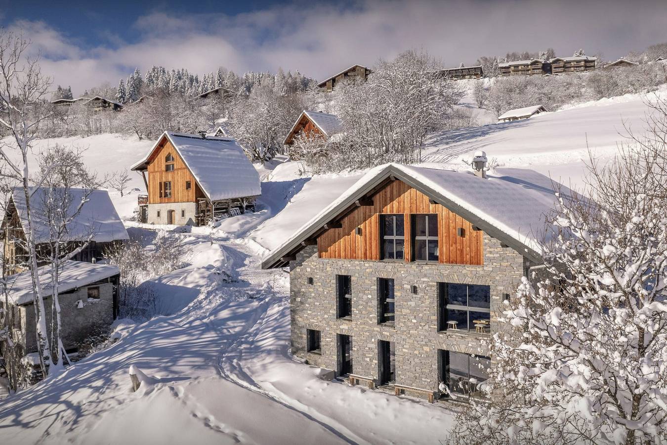 Chalet für 12 Personen mit Terrasse in Doucy, La Léchère