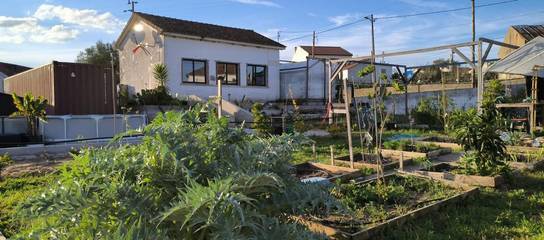 Gîte pour 3 personnes, avec piscine ainsi que vue et jardin dans Torres Novas