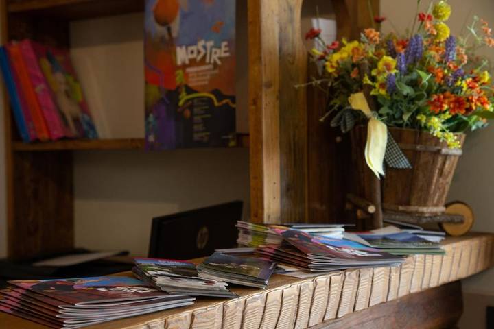 Hôtel pour 2 personnes, avec jardin et vue dans Gressoney-Saint-Jean - 2