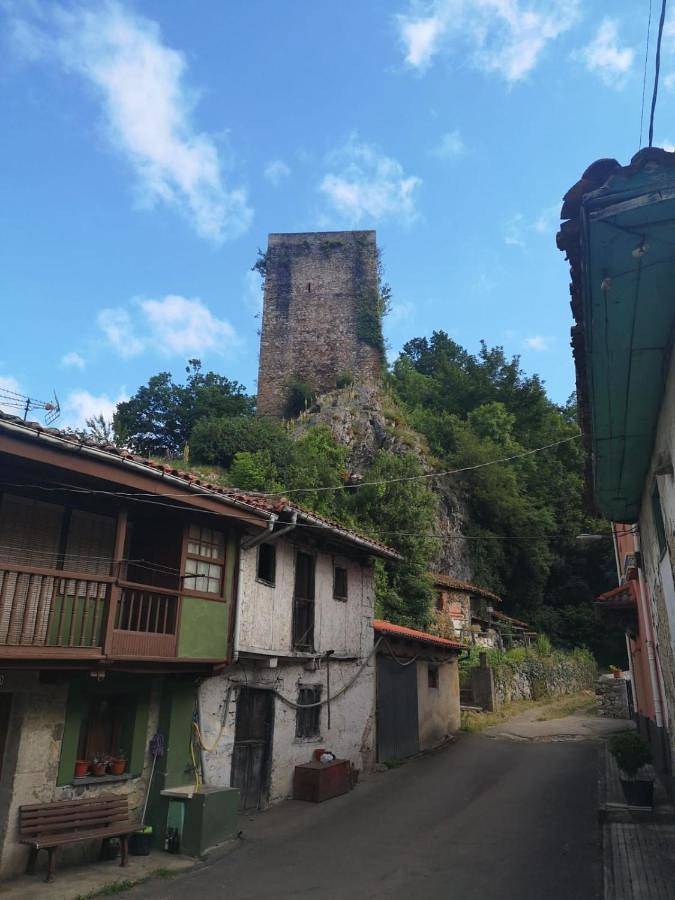 Casa rural para 3 personas, con vistas, Se admiten mascotas en Nalón - 3