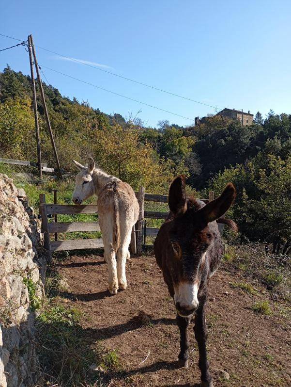 Location de vacances pour 2 personnes, avec vue et jardin à Chalencon - 3