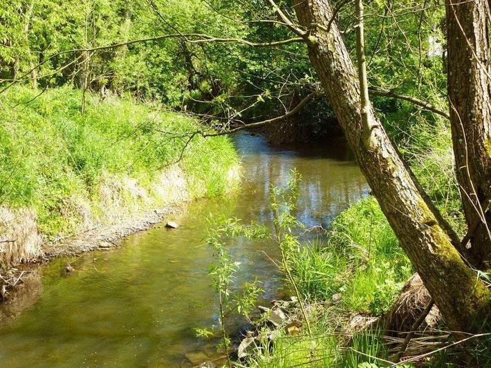 Hütte für 2 Personen, mit Pool in Niederösterreich