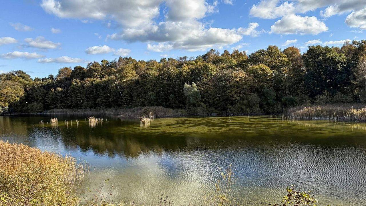 Ferienhaus für 6 Personen (58 m²) in Borup in Køge und Umgebung