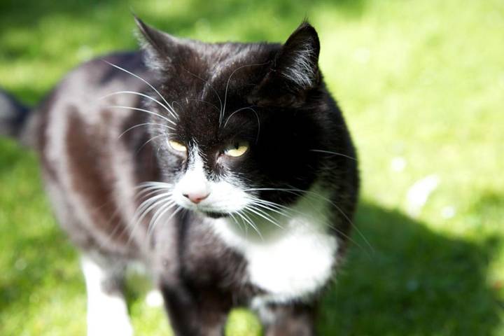 Chambre d’hôte pour 2 personnes, avec vue ainsi que balcon et jardin à Mayrhofen - 4