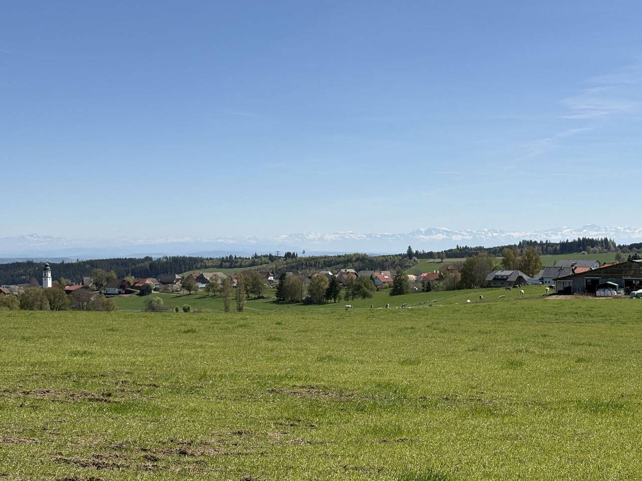Ganze Wohnung, Alpenblick - Alpenblick 880.1 in Grafenhausen, Südschwarzwald