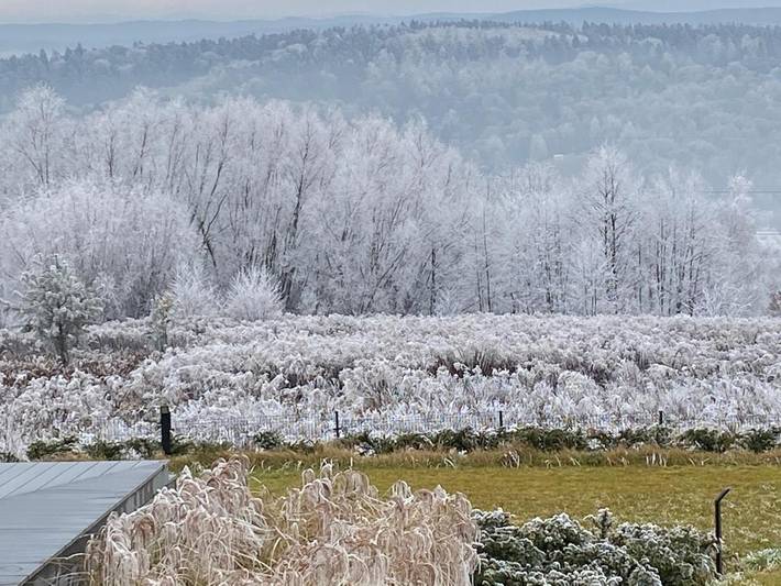 Ferienhaus für 4 Personen, mit Ausblick und Pool sowie Garten und Sauna in Polen - 3