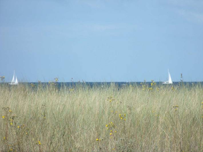 Ferienwohnung für 4 Personen, mit Garten und Balkon, kinderfreundlich in Diedrichshagen - 3